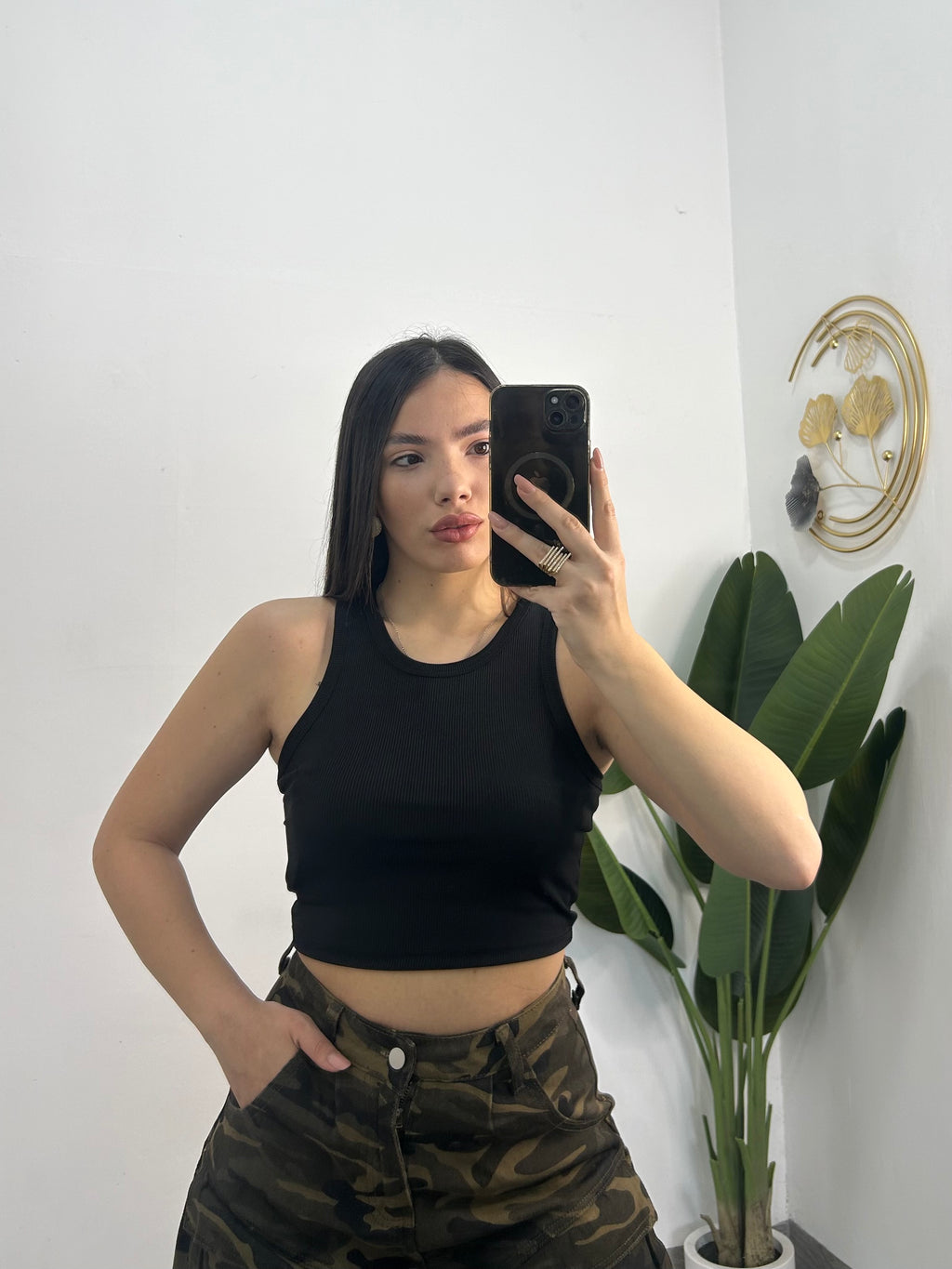 CANOTTA AMERICA CROP